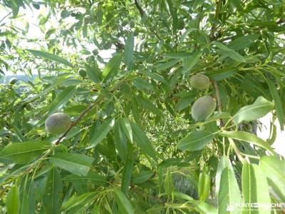 Miradores del Embalse de San Juan_Cerro San Esteban; grupos de senderismo en granada parque rio manz